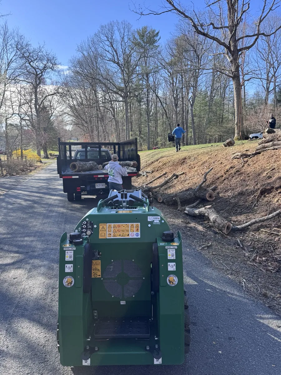 Trucks ready for the job